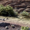 Exemples de pigments visibles juste au nord de la Croix de Fer