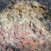 Exemples de pigments visibles le long de la D40