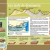 Panneau Les oeufs de dinosaures