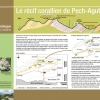 Panneau Récif corallien de Pech Agut