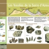 Panneau Fossiles de la Serre d'Azeu