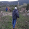 Transports des dinosaures
