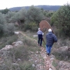 Transports des dinosaures