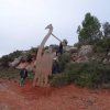 Assemblage et montage